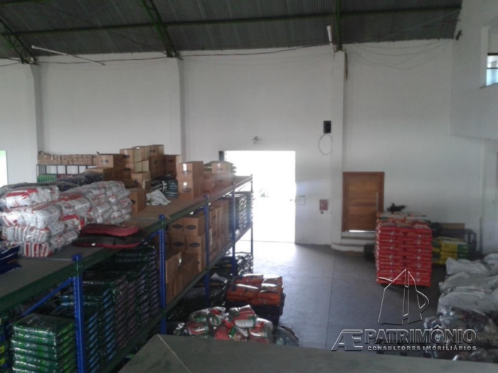 Foto 12