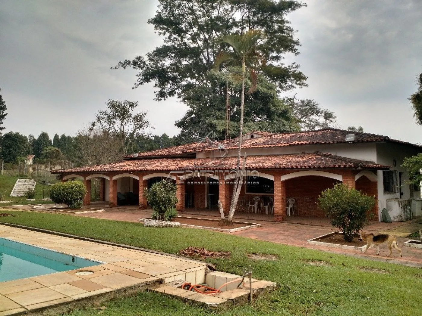 Foto 8