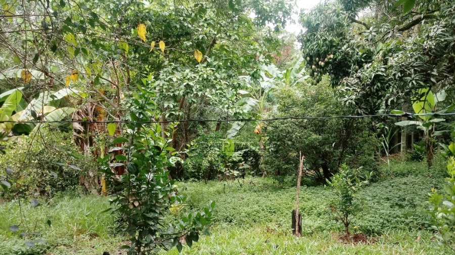 Foto 8