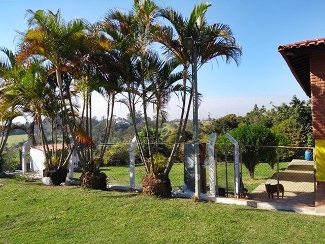 Foto 15