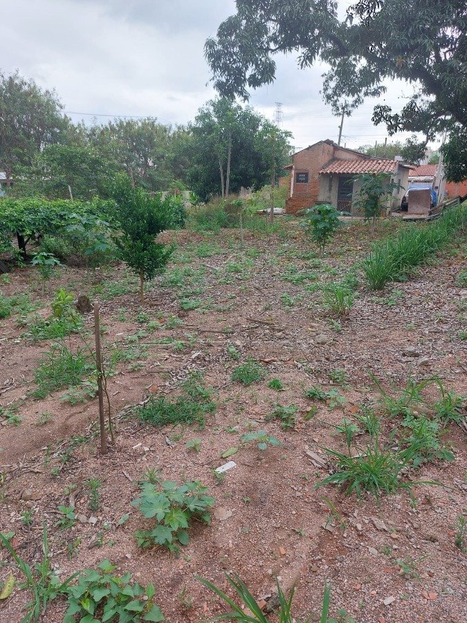 Foto 11
