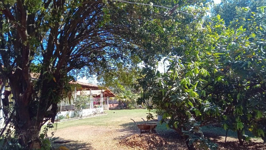 Foto 8