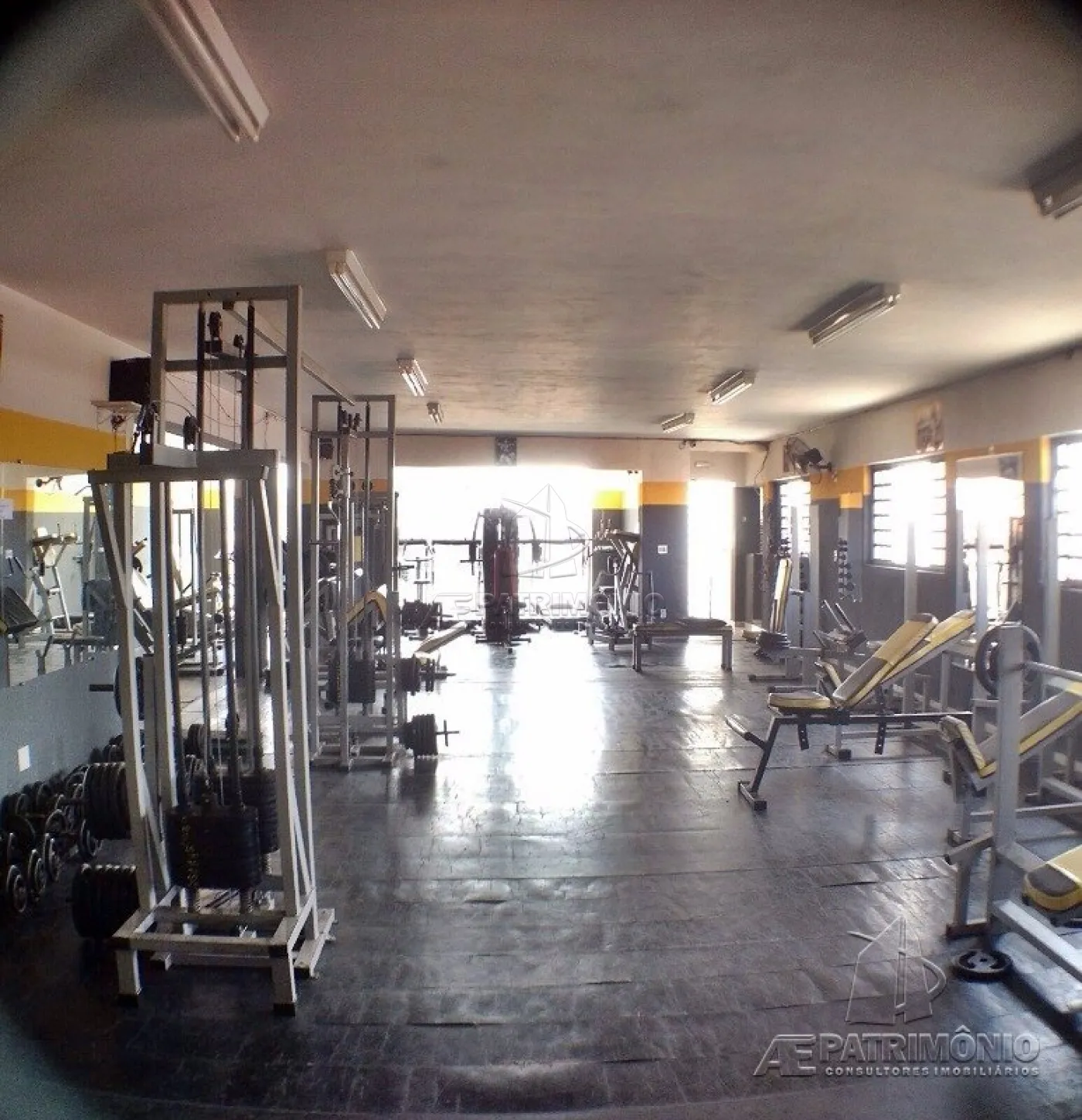 Foto 3