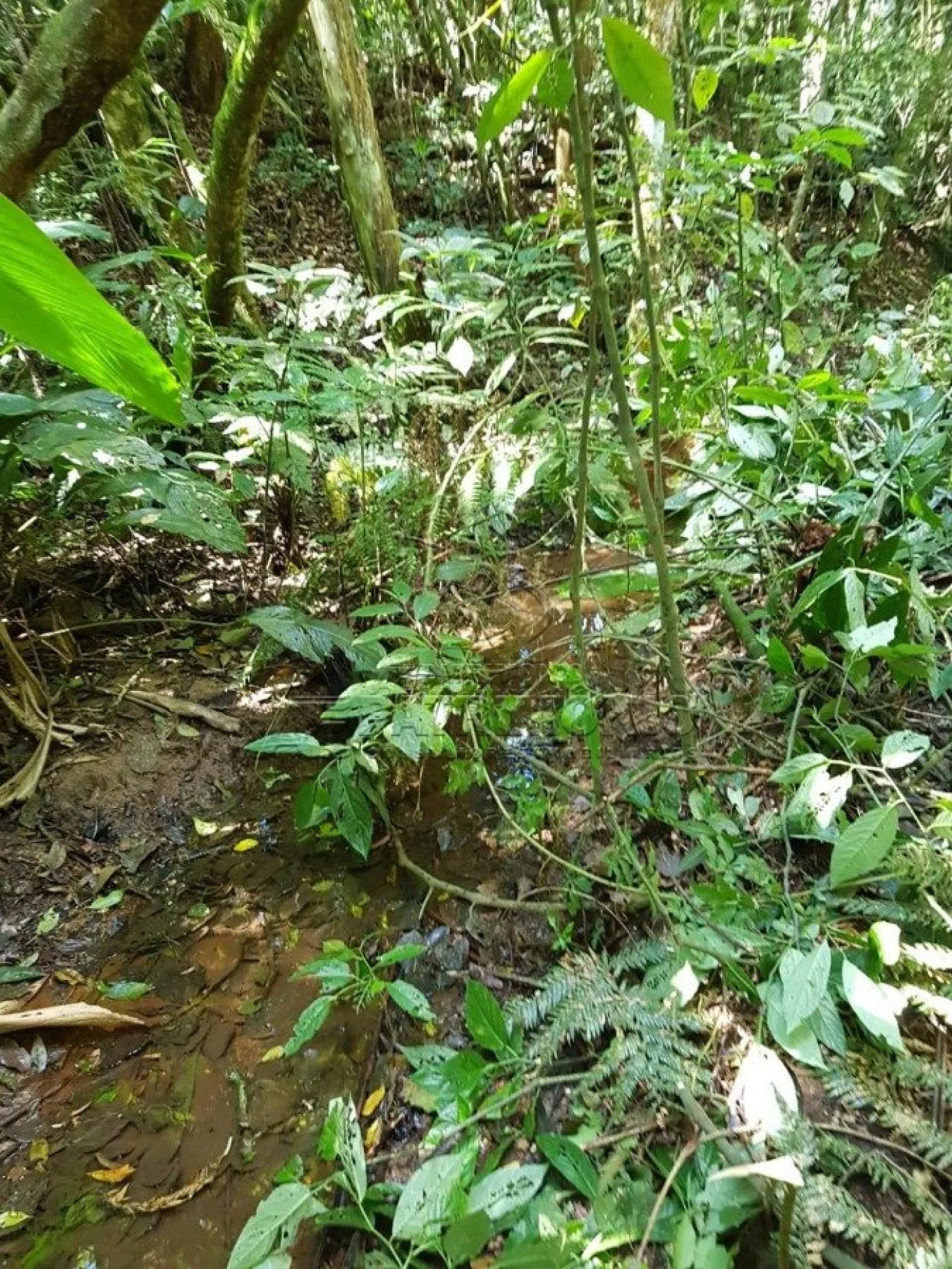 Foto 6