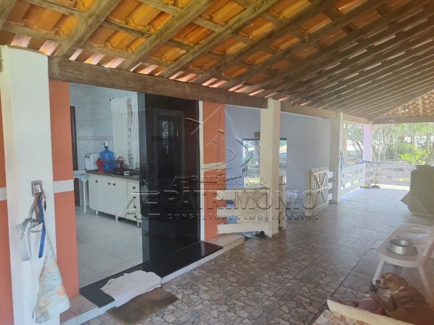Foto 13