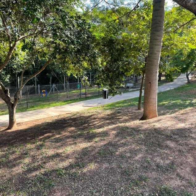 Foto 7