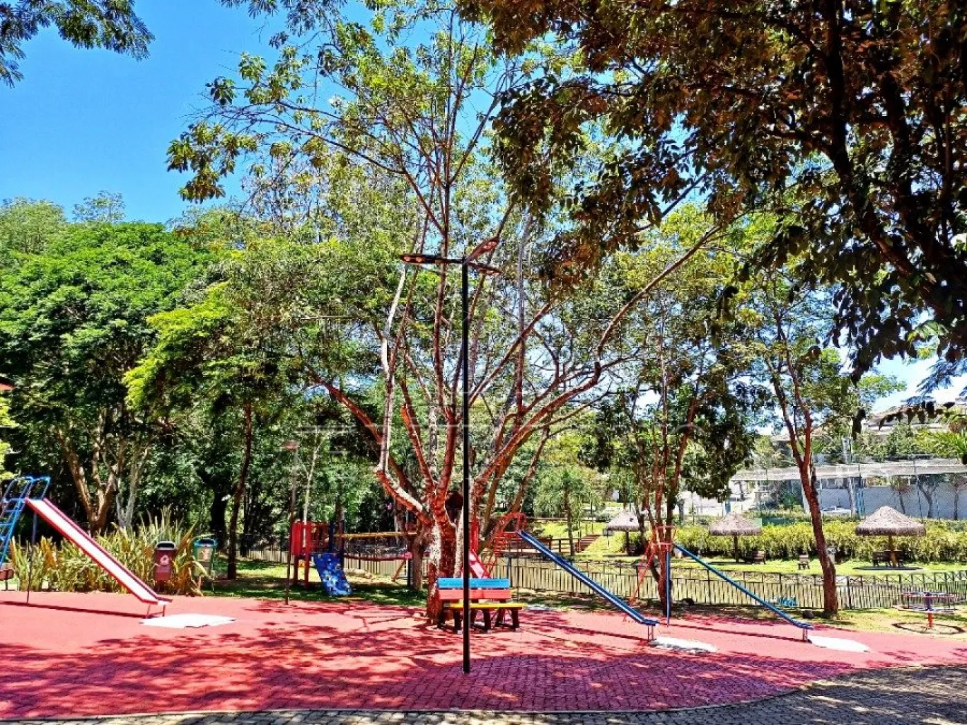 Foto 7