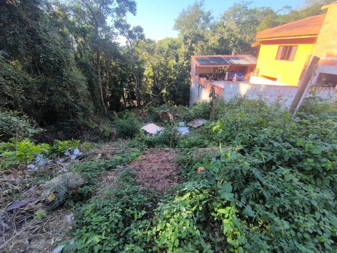 Foto 1