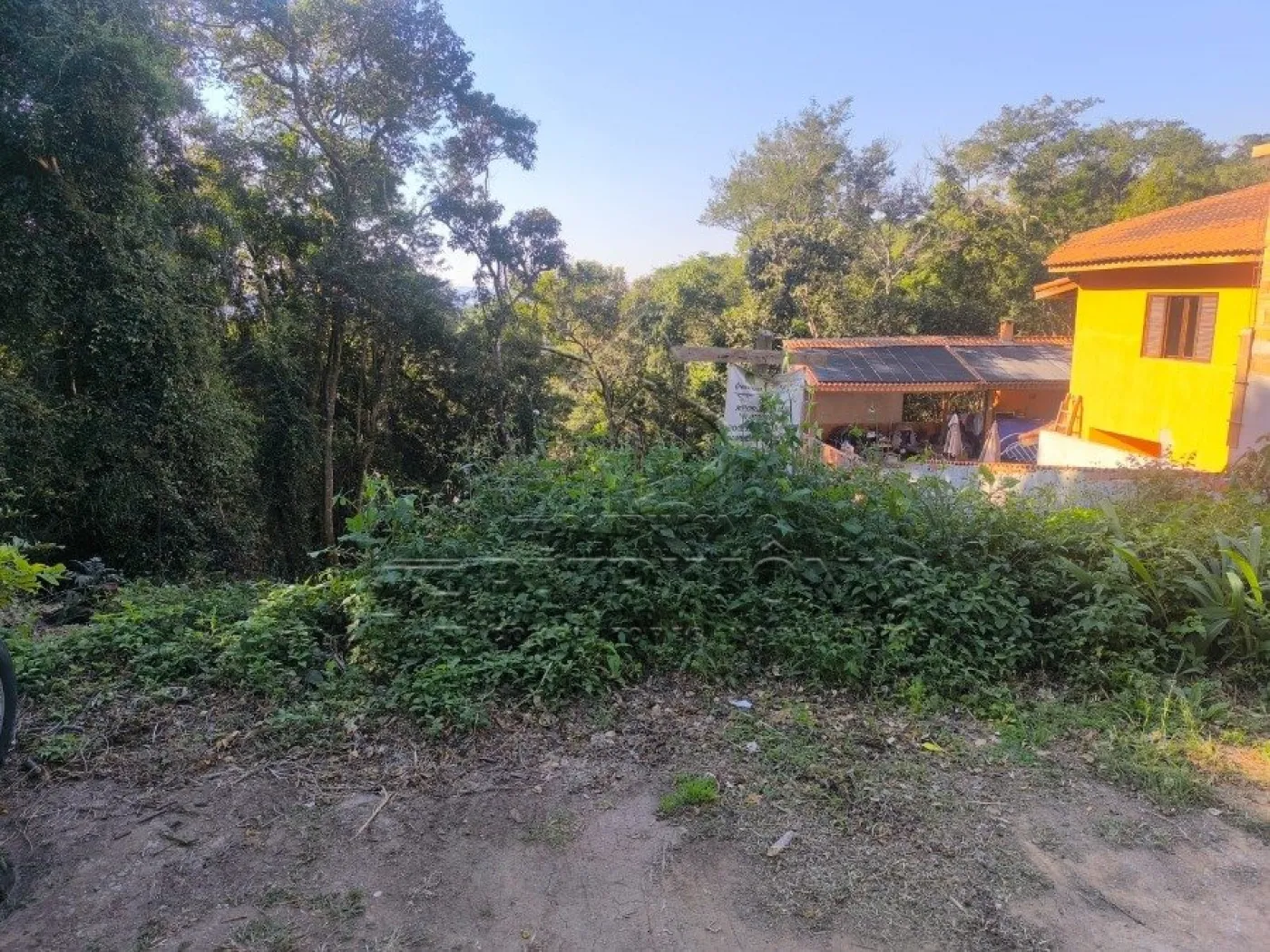 Foto 4