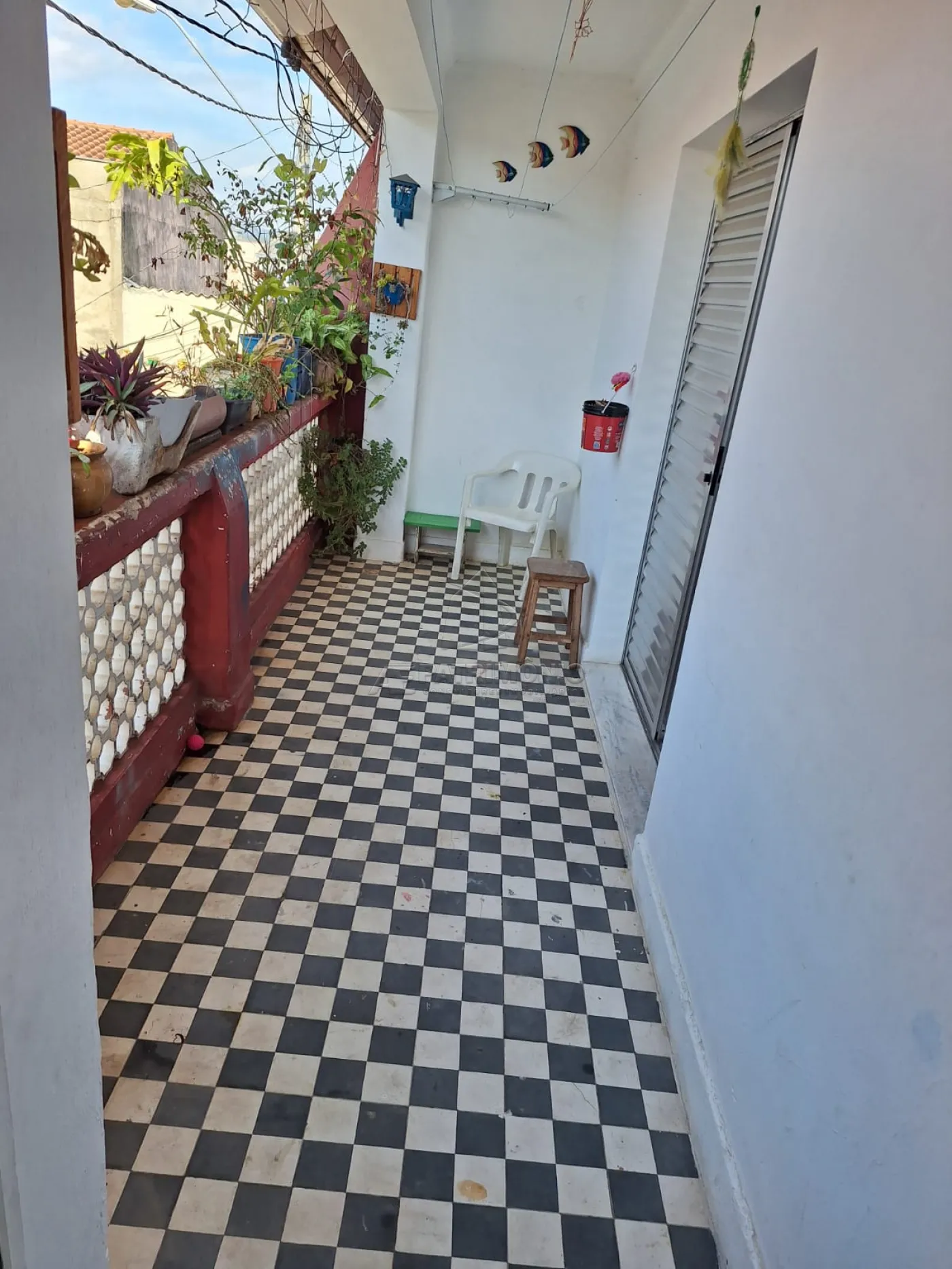 Foto 11