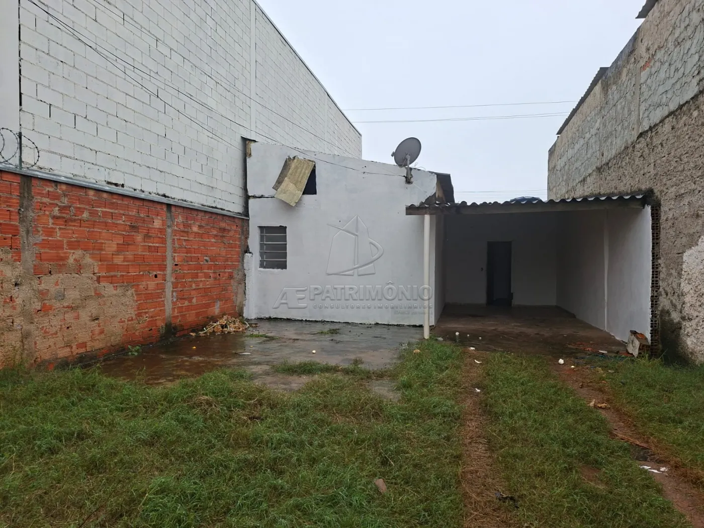 Foto 2