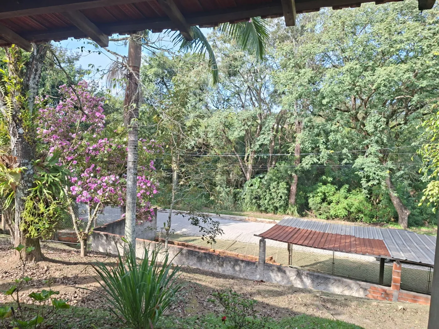 Foto 15
