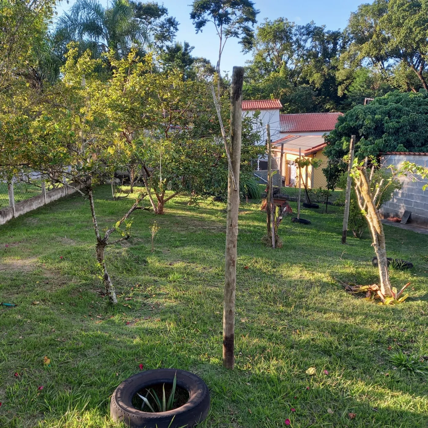 Foto 6