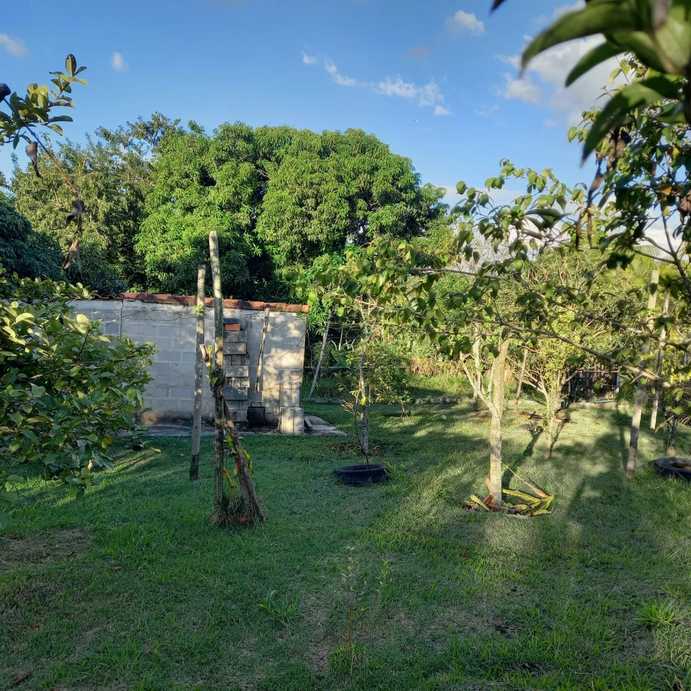 Foto 10
