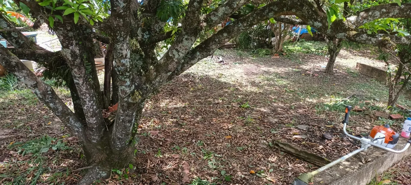 Foto 12