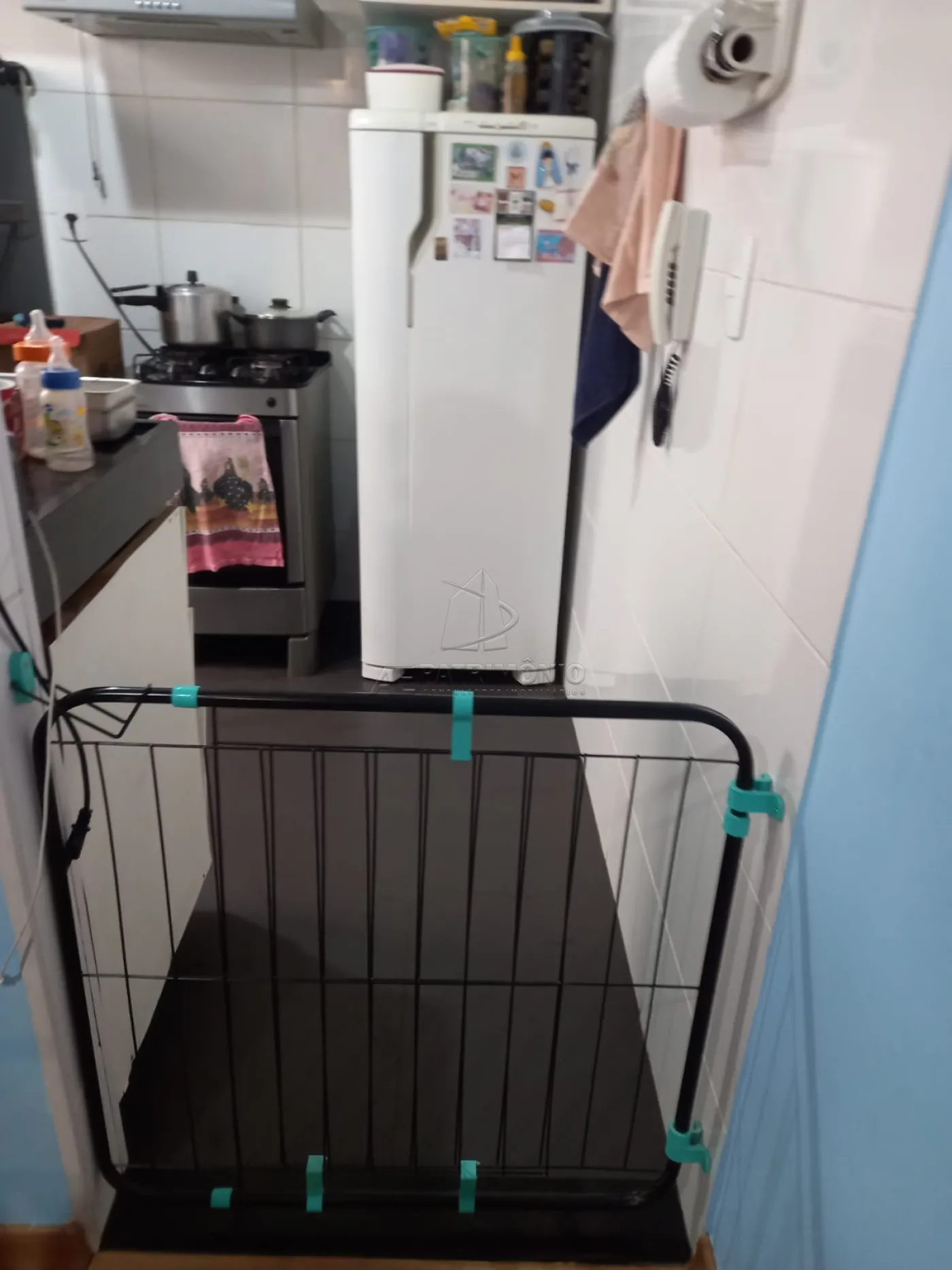 Foto 7