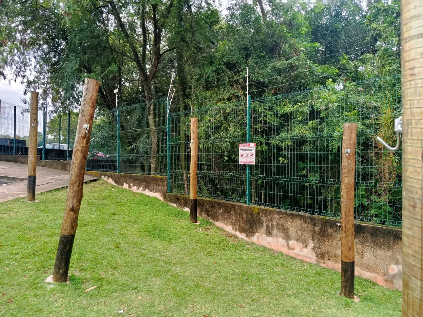 Foto 12