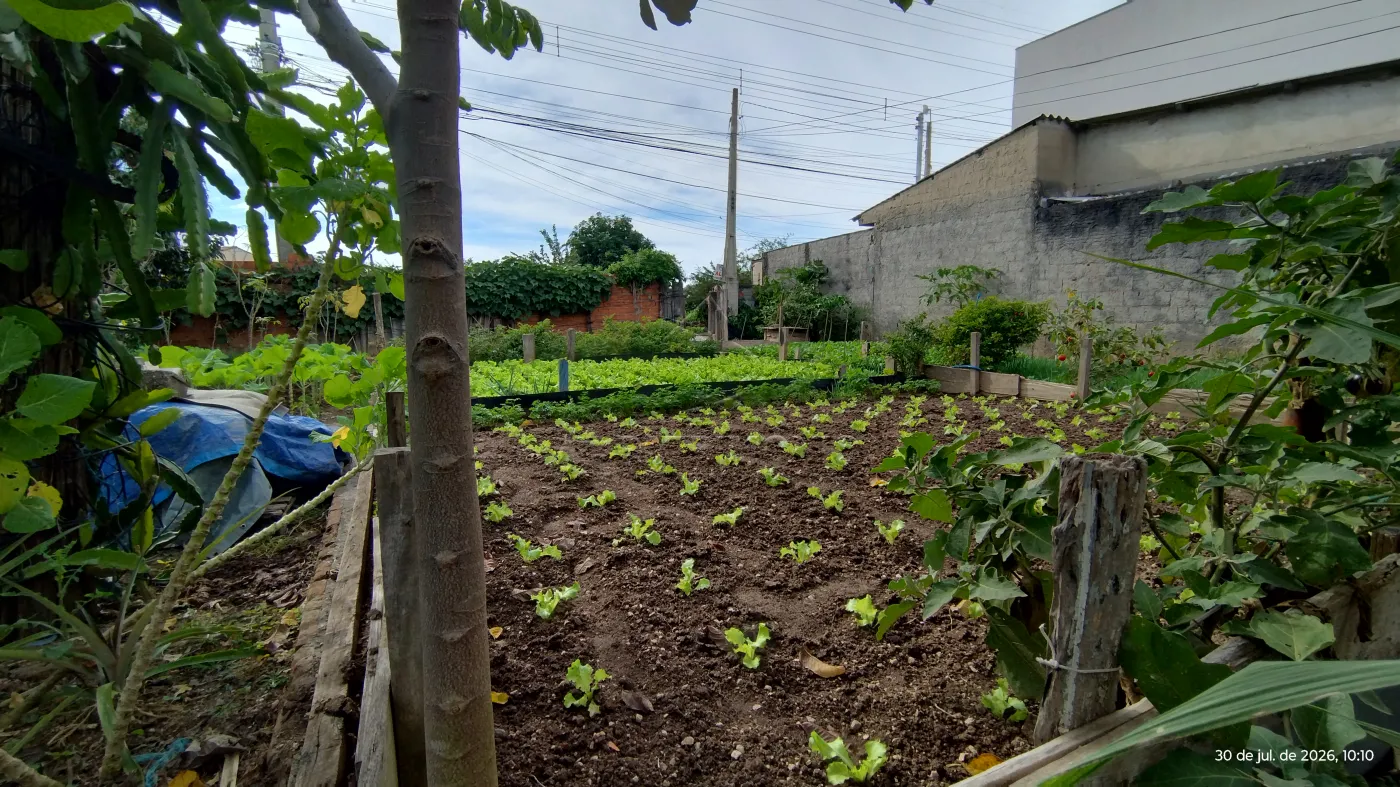 Foto 12