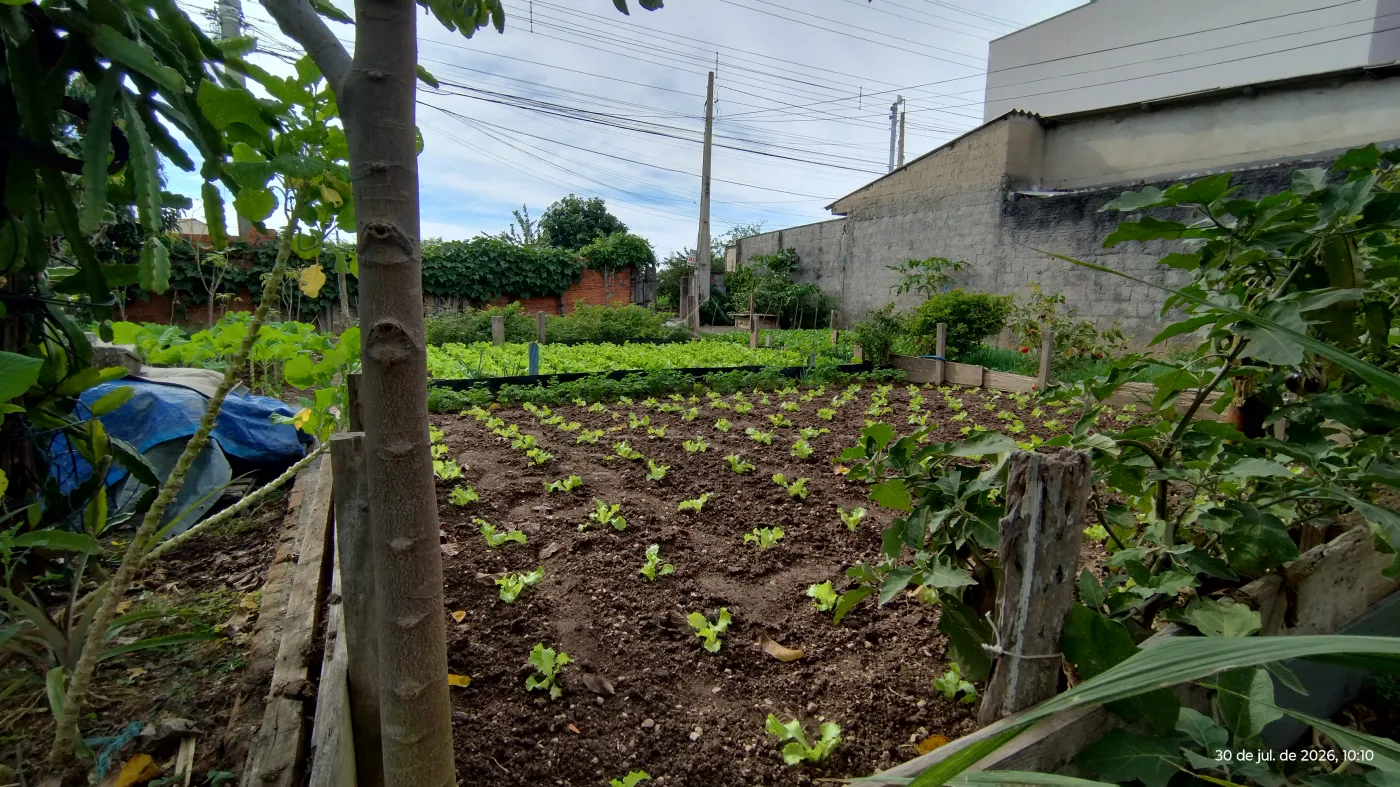 Foto 13