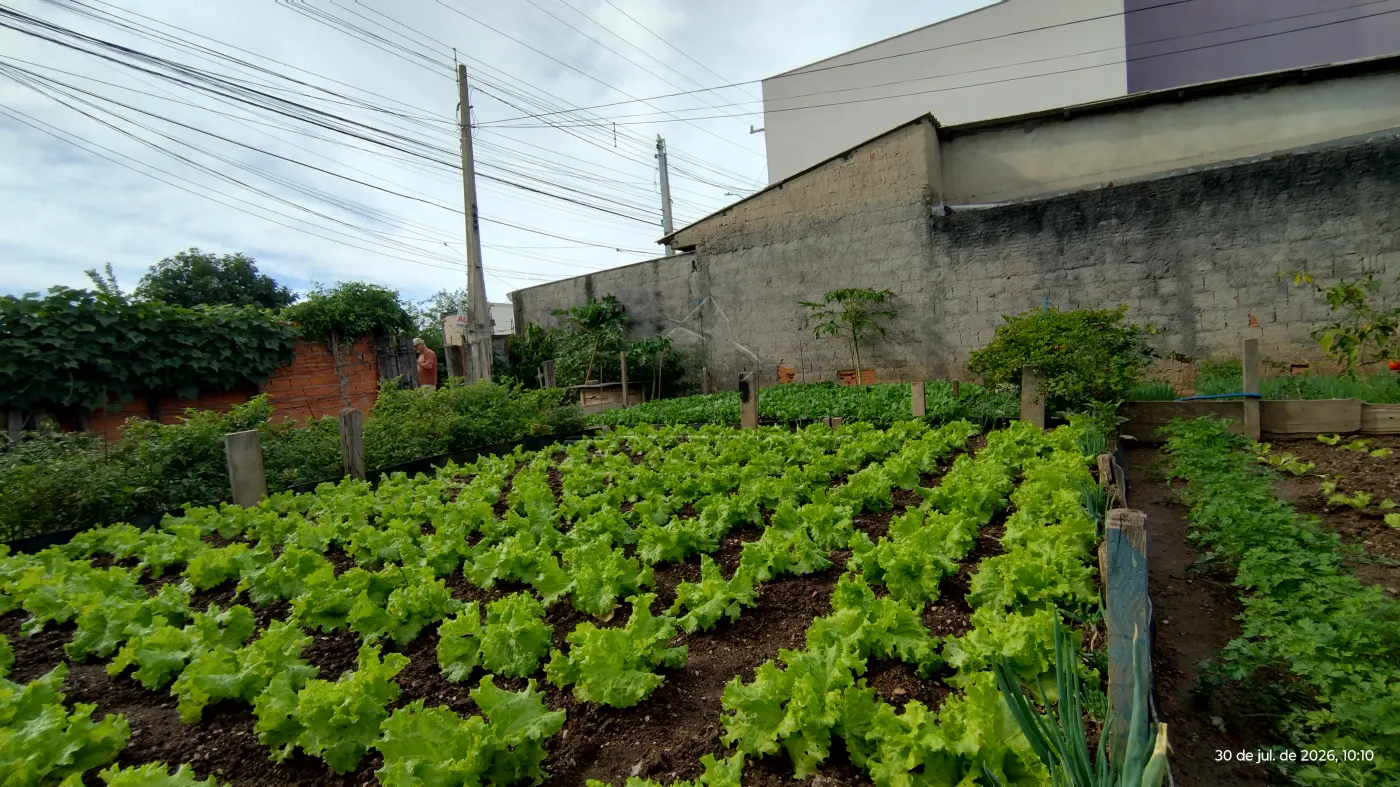 Foto 15