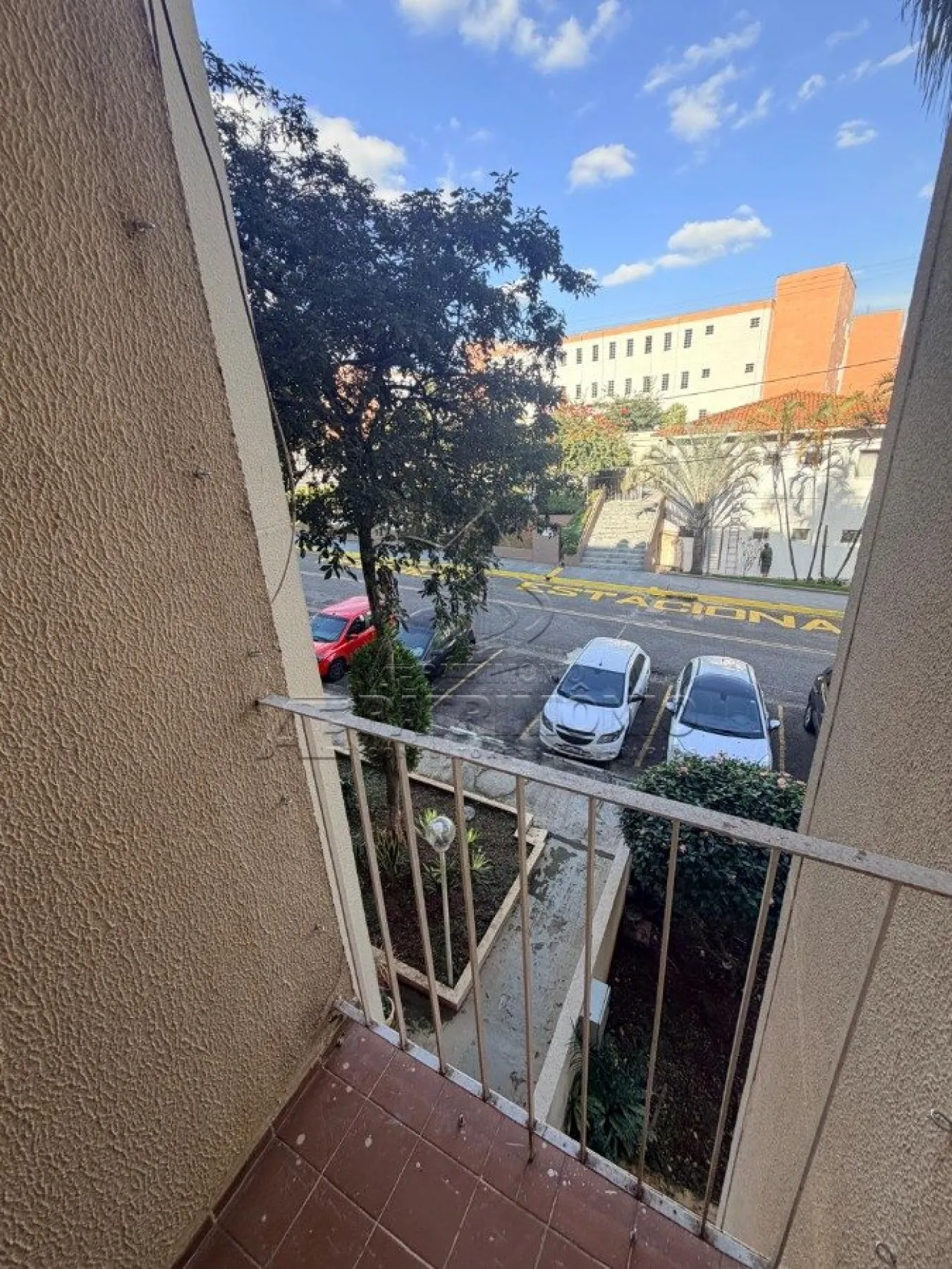 Foto 15