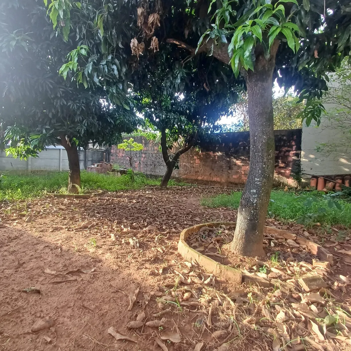 Foto 13