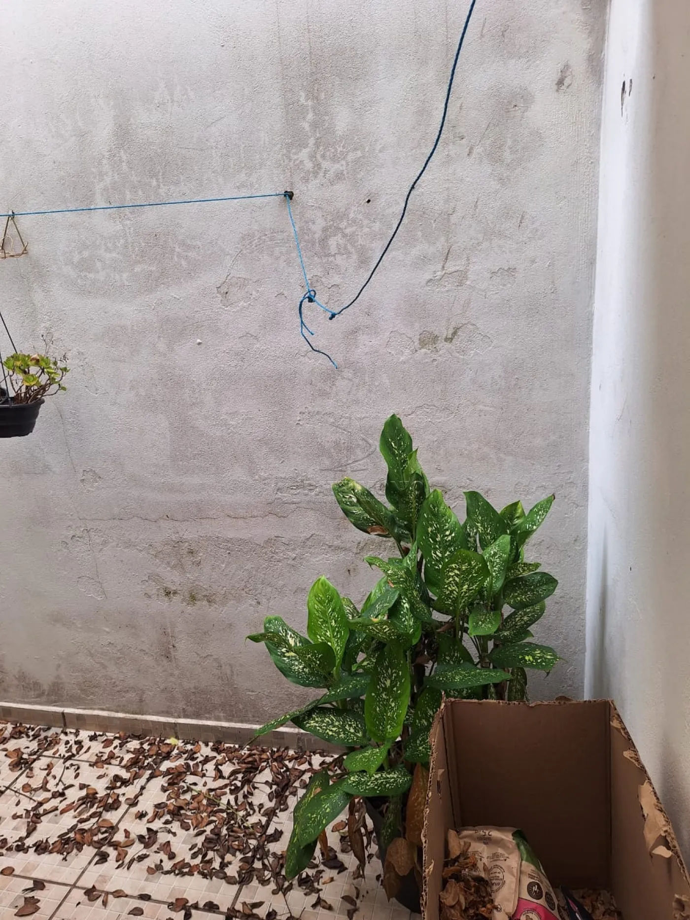 Foto 12