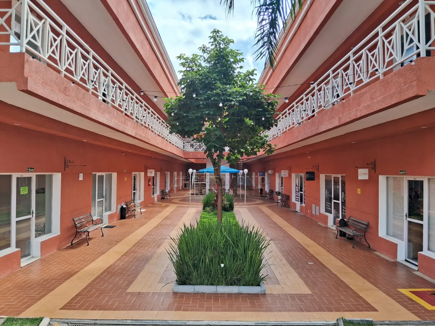 Foto 14