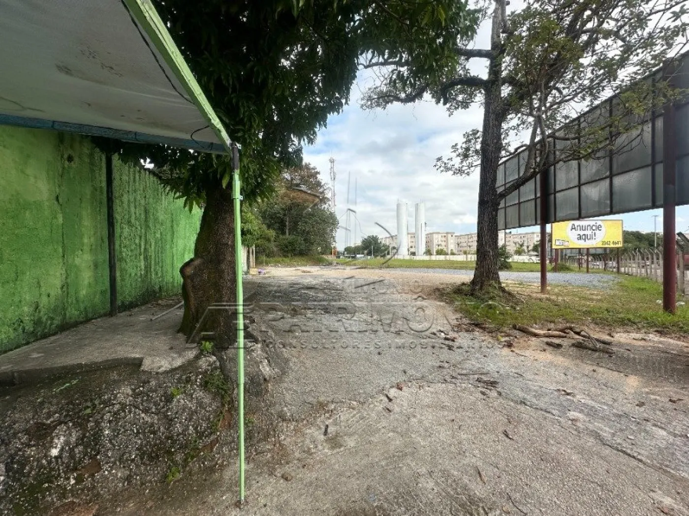 Foto 11