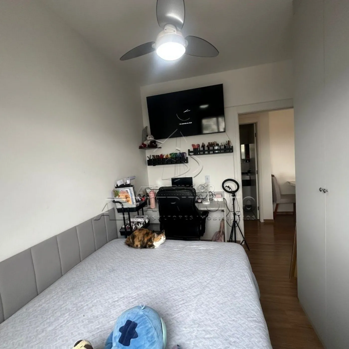 Foto 15