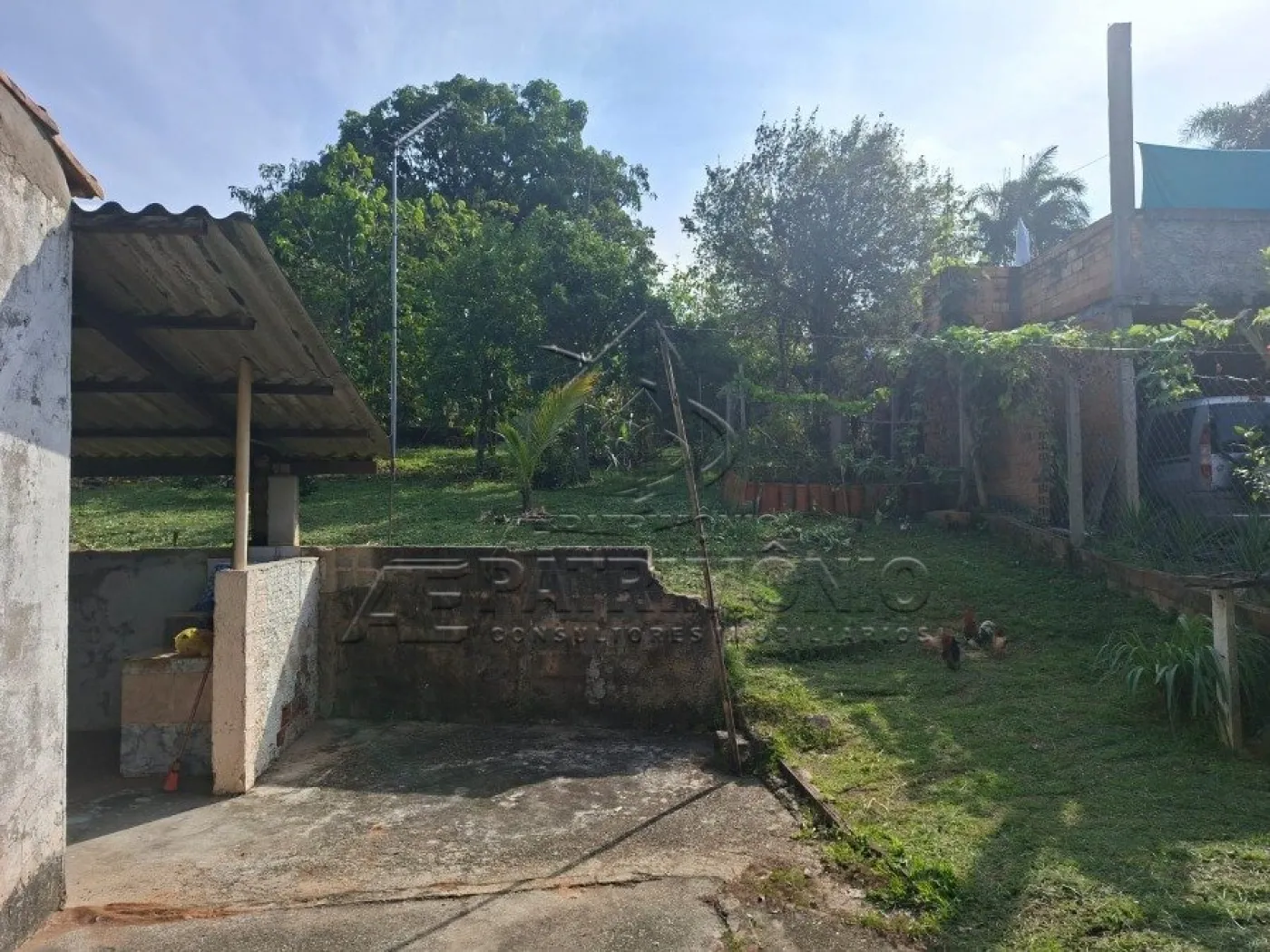 Foto 14