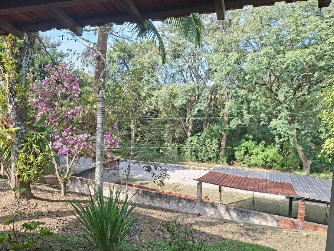 Foto 15