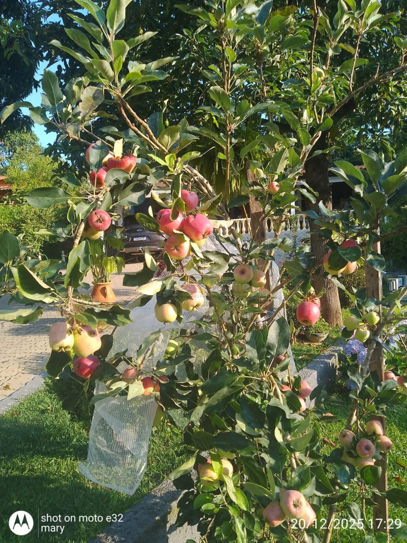 Foto 10