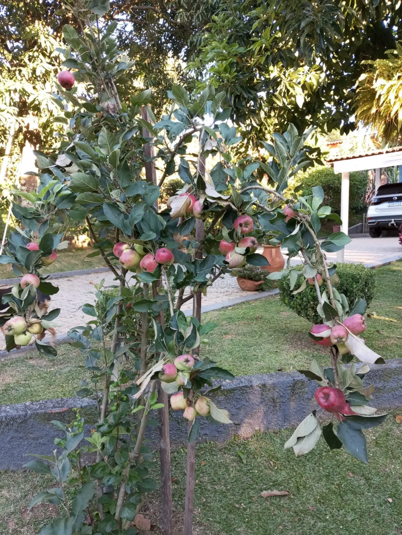 Foto 11