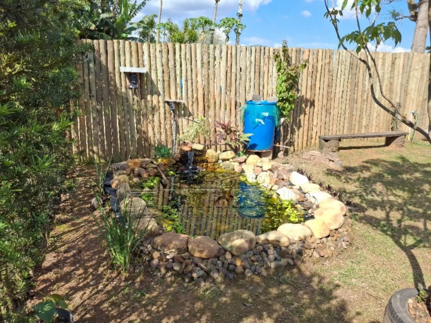 Foto 8