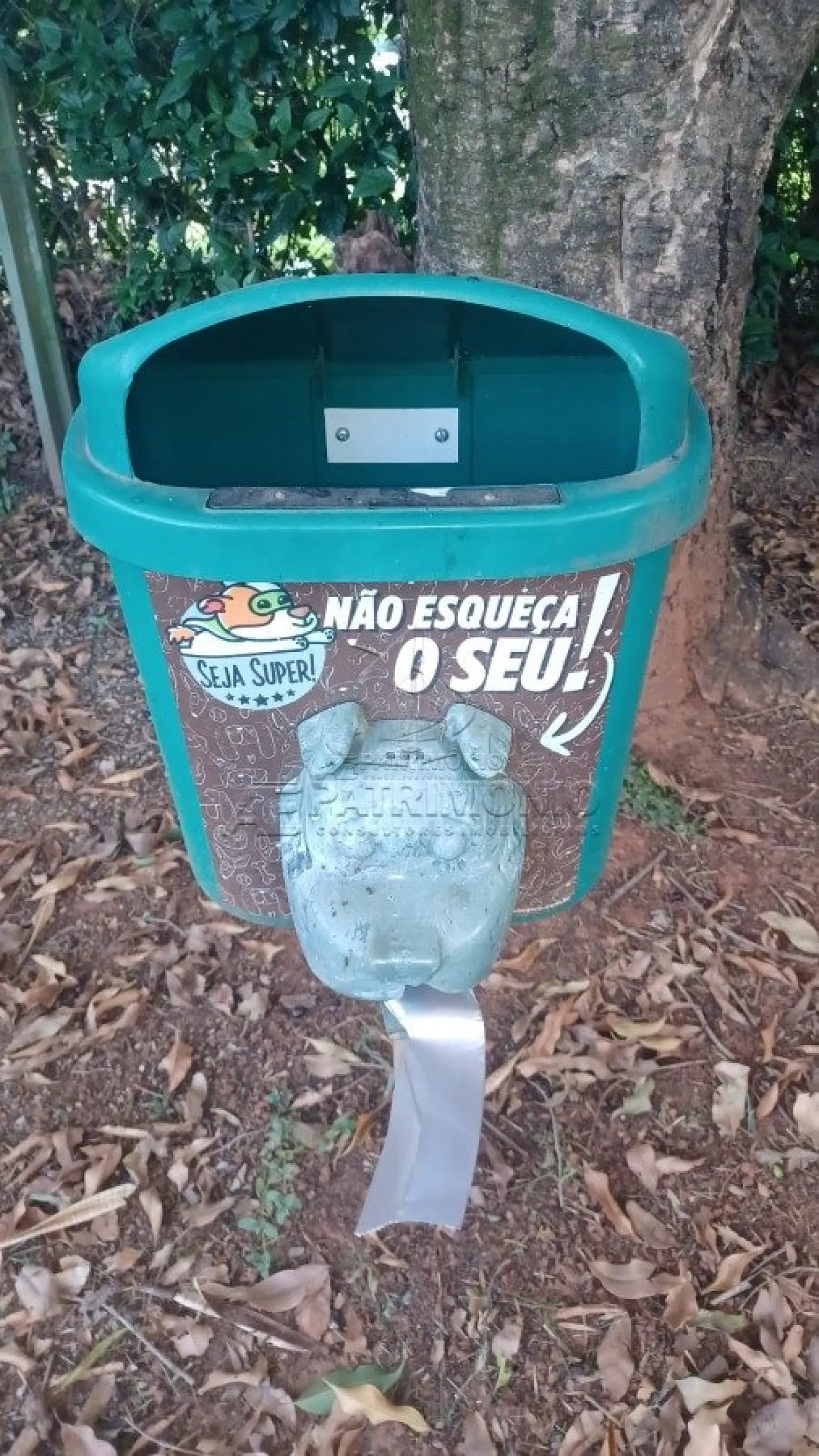 Foto 14