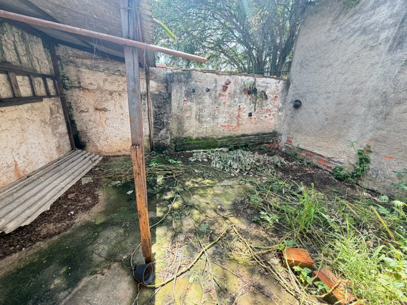 Foto 11