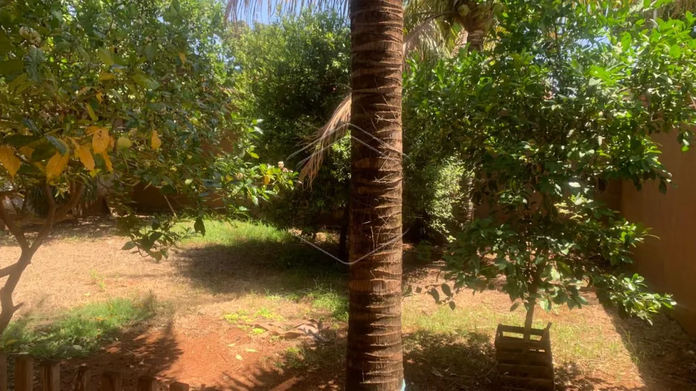 Alugar Casa Residencial / Padr&atilde;o em Dourados R$ 3.000,00 - Foto 15