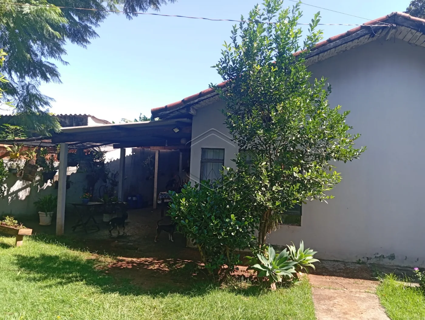 Comprar Casa Residencial / Padr&atilde;o em Dourados R$ 270.000,00 - Foto 9