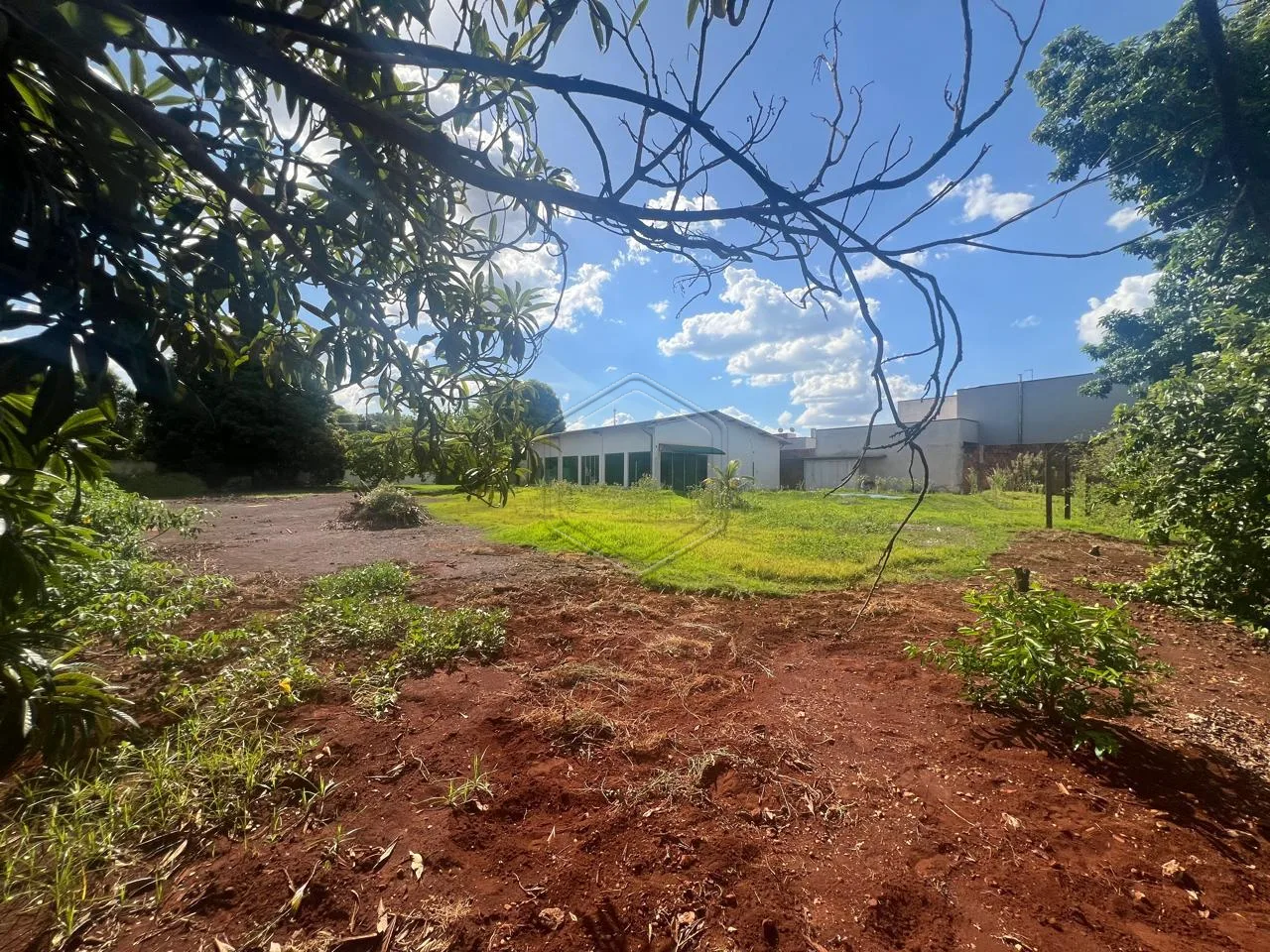 Comprar Comercial / &Aacute;rea de Lazer em Dourados R$ 1.500.000,00 - Foto 4