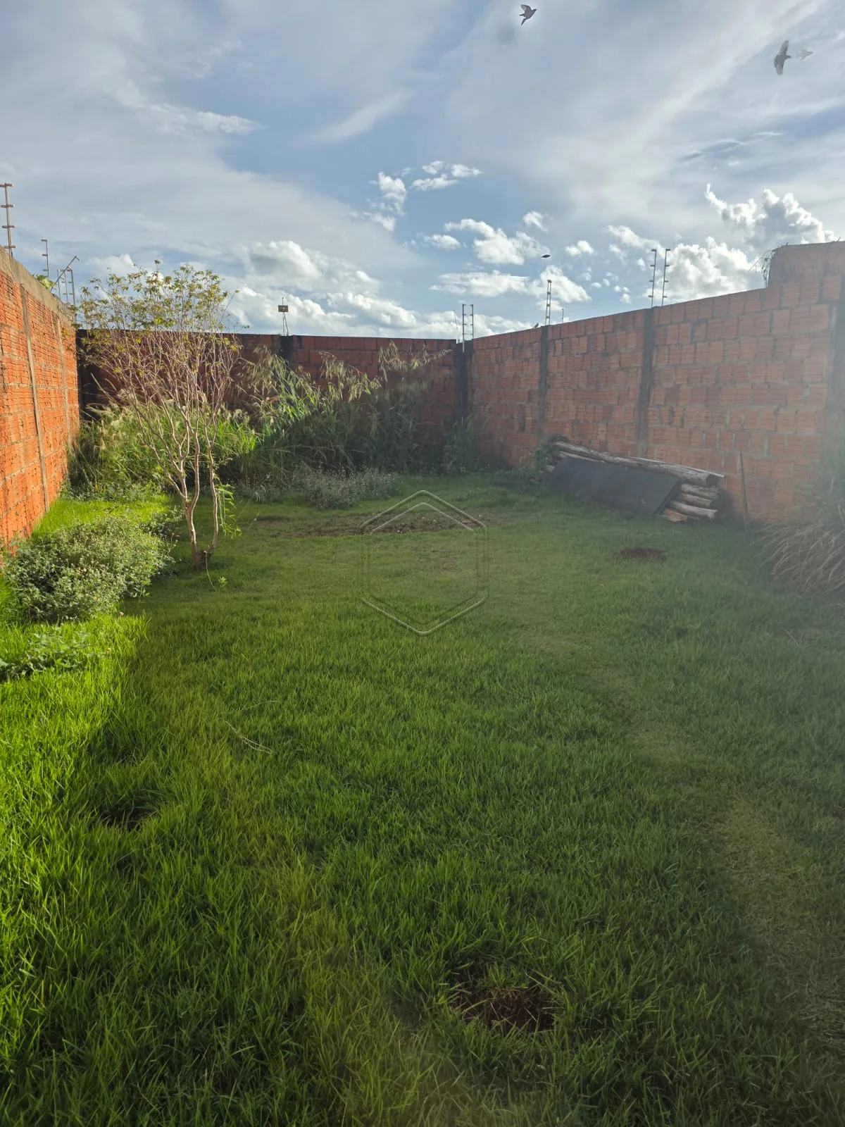 Comprar Casa Residencial / Padr&atilde;o em Dourados R$ 230.000,00 - Foto 4