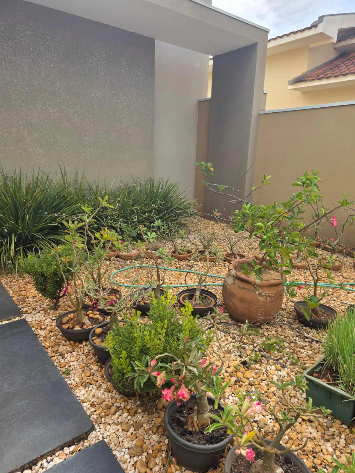 Comprar Casa Residencial / Padr&atilde;o em Itapor&atilde; R$ 1.200.000,00 - Foto 6