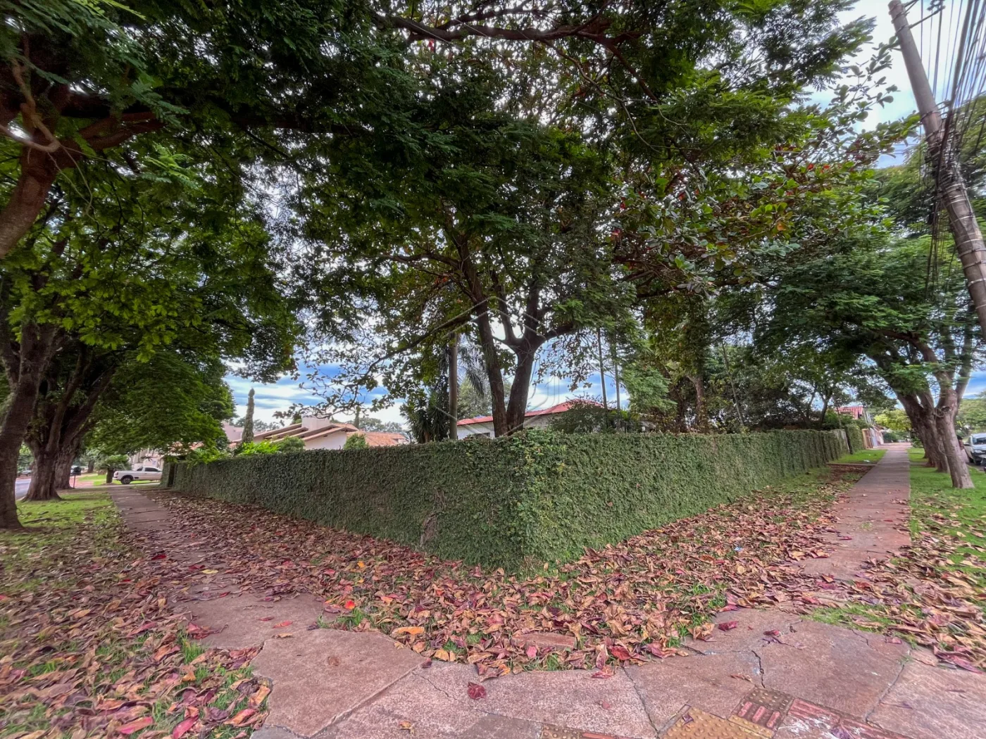 Alugar Casa Residencial / Luxo em Dourados R$ 7.000,00 - Foto 2