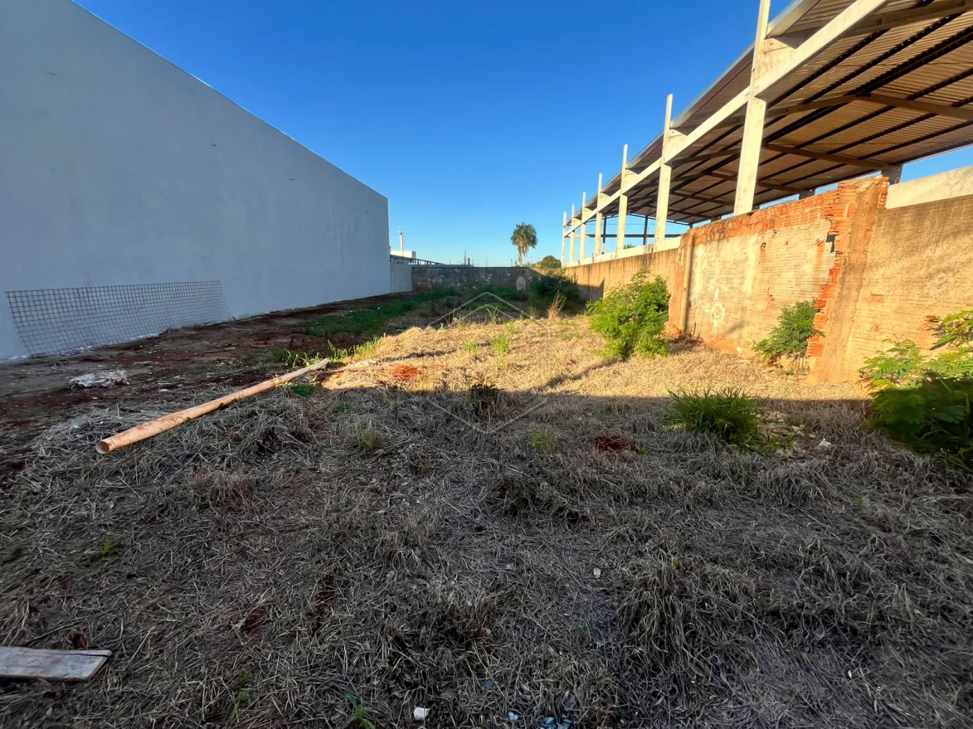 Alugar Terreno / Padr&atilde;o em Dourados R$ 1.000,00 - Foto 2