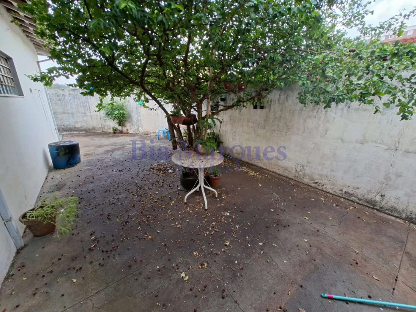 Comprar Casa / Padr&atilde;o em Ribeir&atilde;o Preto R$ 450.000,00 - Foto 8