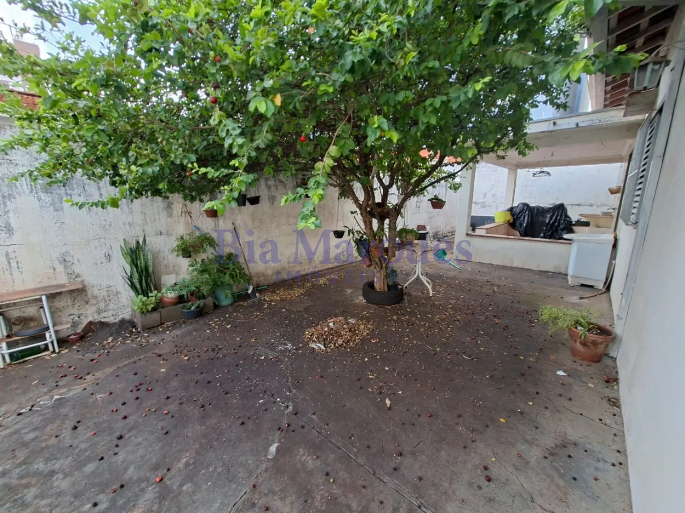 Comprar Casa / Padr&atilde;o em Ribeir&atilde;o Preto R$ 450.000,00 - Foto 13