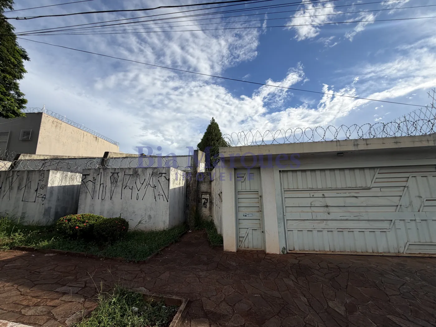 Alugar Comercial / Ponto Comercial em Ribeir&atilde;o Preto R$ 19.900,00 - Foto 4