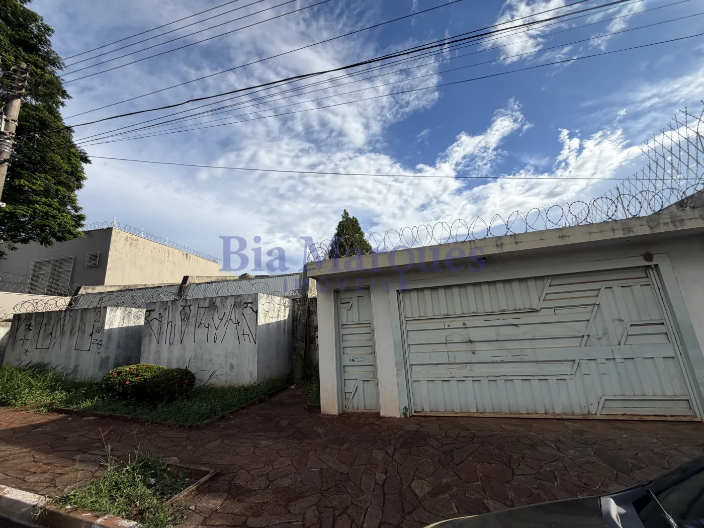 Alugar Comercial / Ponto Comercial em Ribeir&atilde;o Preto R$ 19.900,00 - Foto 6