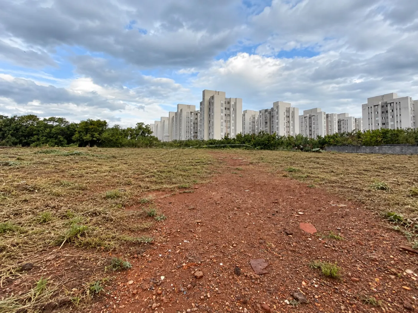Alugar Terreno / Padr&atilde;o em Ribeir&atilde;o Preto R$ 4.900,00 - Foto 5