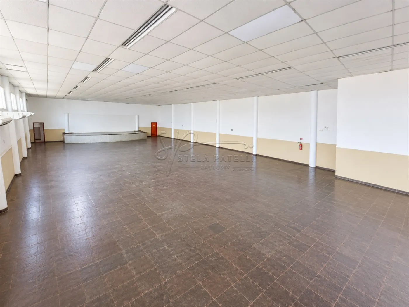 Alugar Comercial padr&atilde;o / Galp&atilde;o - Armaz&eacute;m em Ribeir&atilde;o Preto R$ 8.700,00 - Foto 4